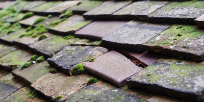 Doddinghurst roof repair costs